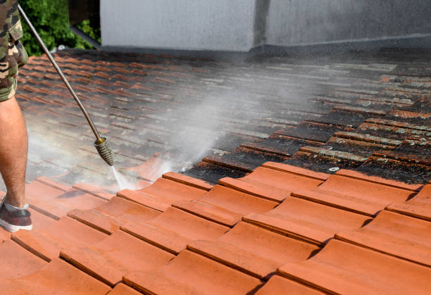 Best House Pressure Washing  in Asbury, IA