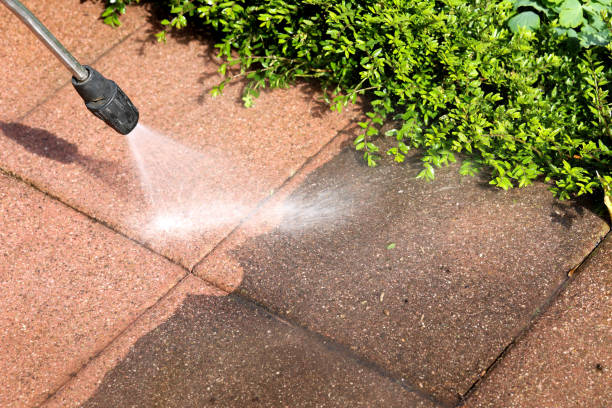 Best Sidewalk Pressure Washing  in Asbury, IA